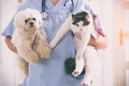 Health articles5