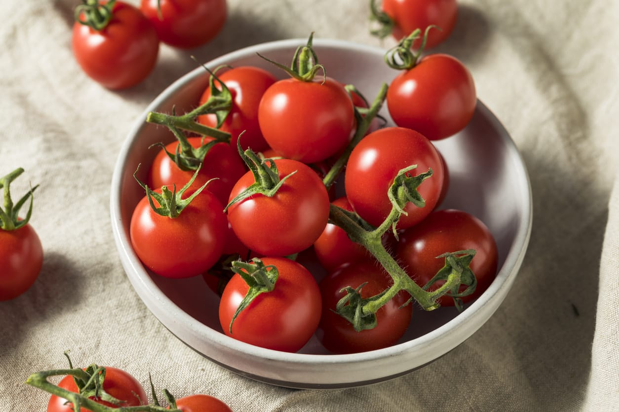 Manfaat Kesehatan Tomat Ceri Bagi Kesehatan Tubuh HonestDocs