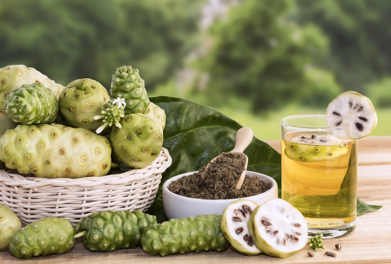 sederet manfaat buah mengkudu bagi kesehatan yang