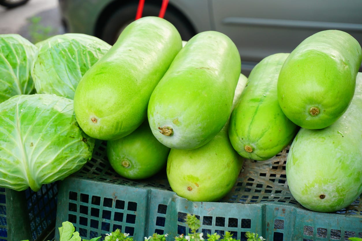 Fakta Nutrisi dan Manfaat Buah Kundur (Bligo) HonestDocs