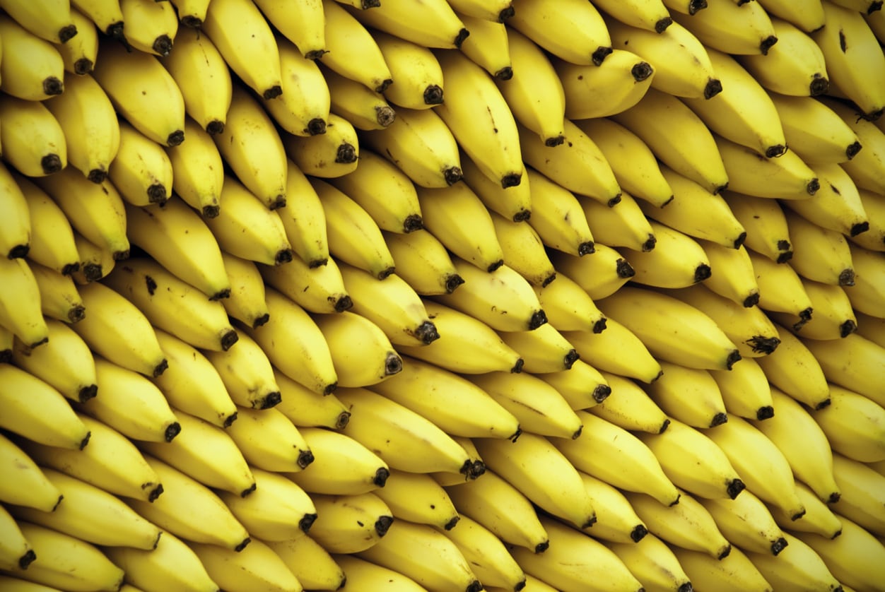 21 Manfaat Pisang Ambon Yang Baik Bagi Kesehatan Honestdocs
