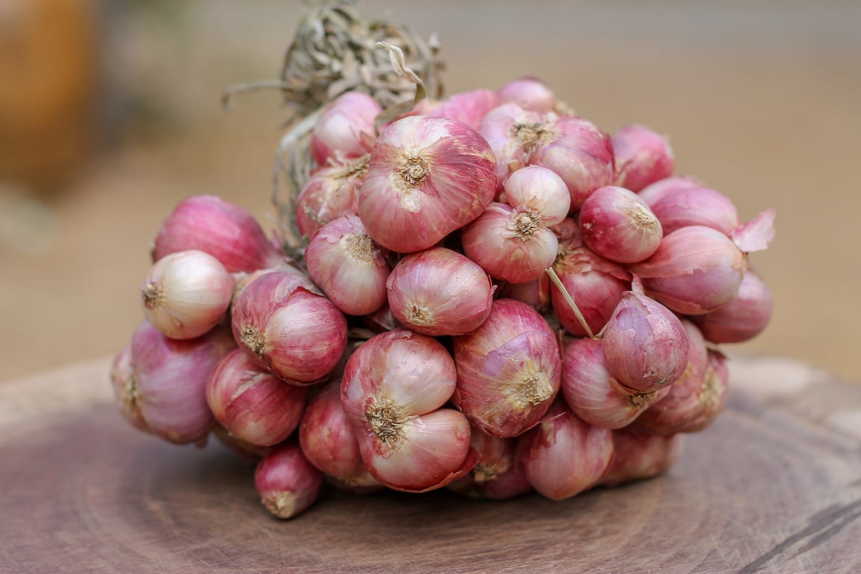Manfaat Bawang Merah Untuk Lelaki Beserta Bukti Ilmiahnya Honestdocs