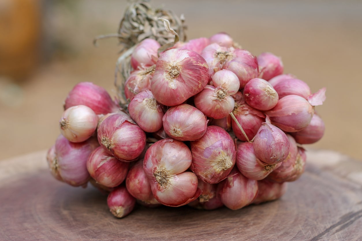 Khasiat Bawang Merah Kuning