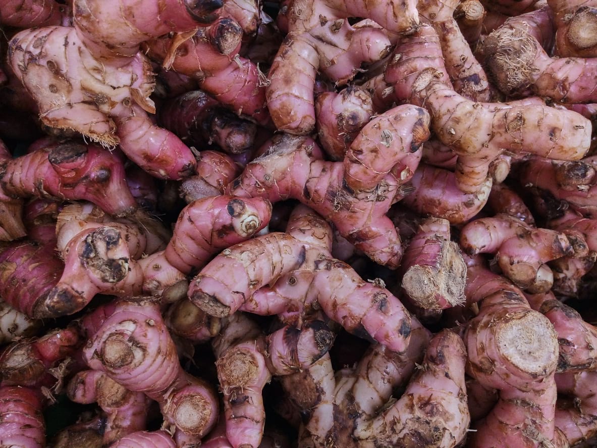 3 Manfaat Jahe Merah Termasuk Bikin Subur Pria Honestdocs 3 Manfaat Jahe Merah Termasuk Bikin Subur Pria Honestdocs