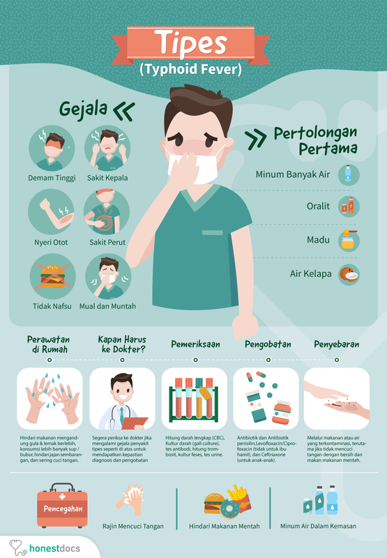 gambar tentang jenis-jenis Tipes