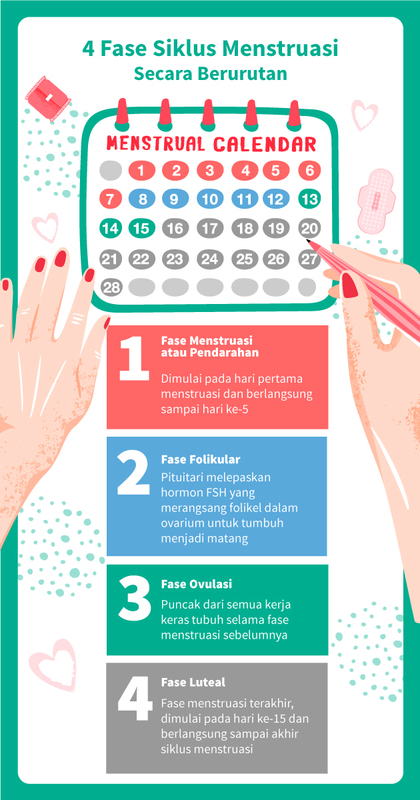 Fase Siklus Menstruasi Fase Siklus Menstruasi
